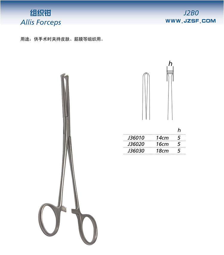 组织钳 14cm 普通 头宽5